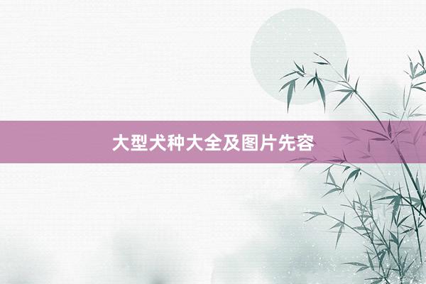 大型犬种大全及图片先容