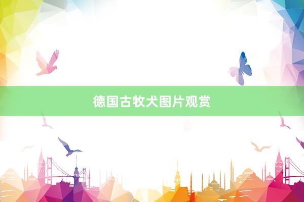 德国古牧犬图片观赏
